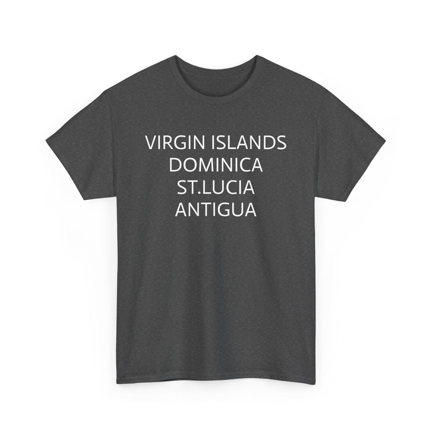 CARIBBEAN DIASPORA TRAVEL EDITION Heavy Cotton Tee