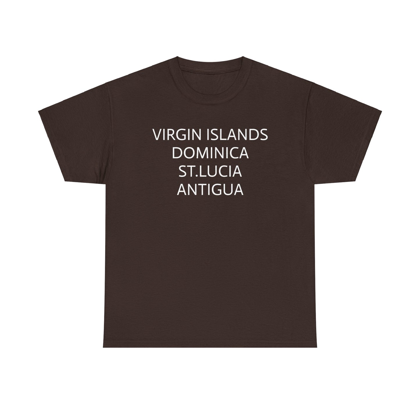 CARIBBEAN DIASPORA TRAVEL EDITION Heavy Cotton Tee