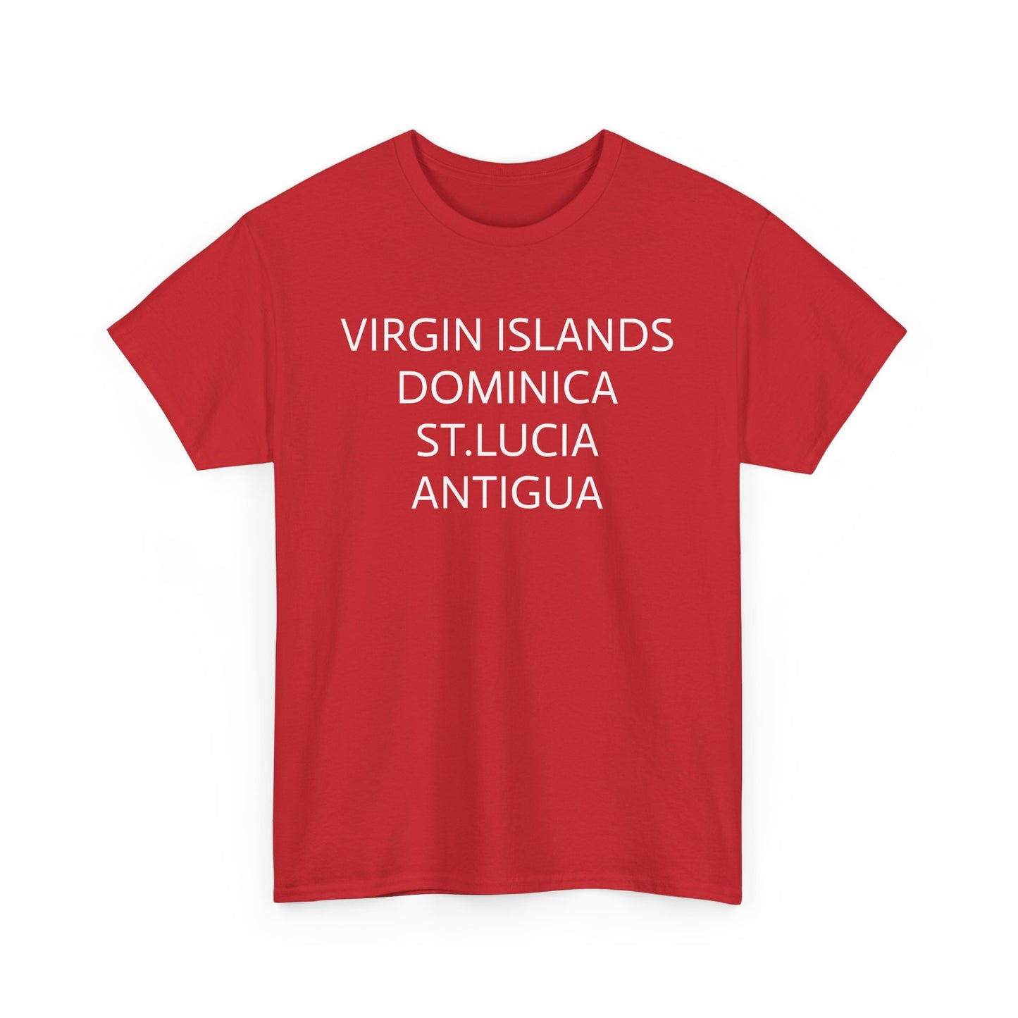 CARIBBEAN DIASPORA TRAVEL EDITION Heavy Cotton Tee