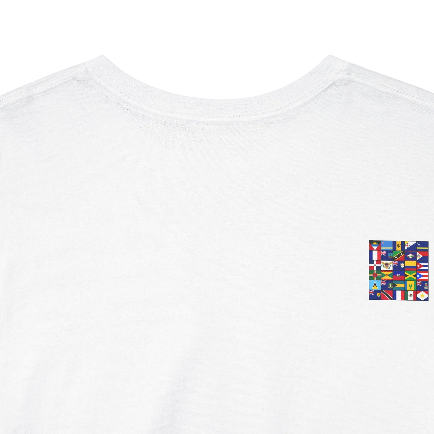 Copy of CARIBBEAN DIASPORA TRAVEL EDITION Heavy Cotton Tee