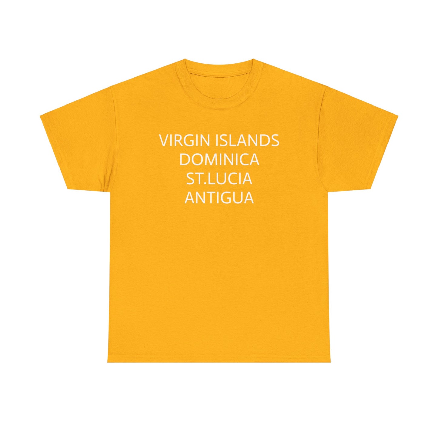 CARIBBEAN DIASPORA TRAVEL EDITION Heavy Cotton Tee