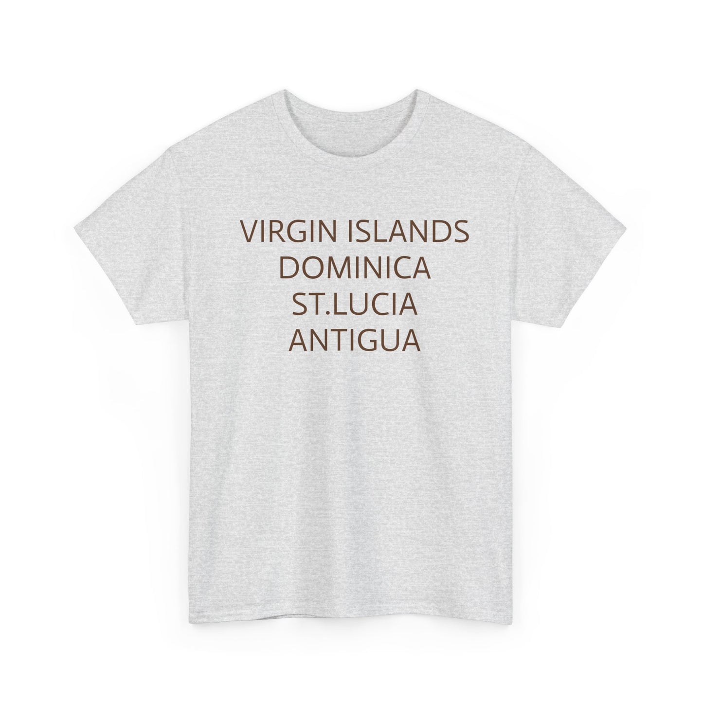CARIBBEAN DIASPORA TRAVEL EDITION Heavy Cotton Tee