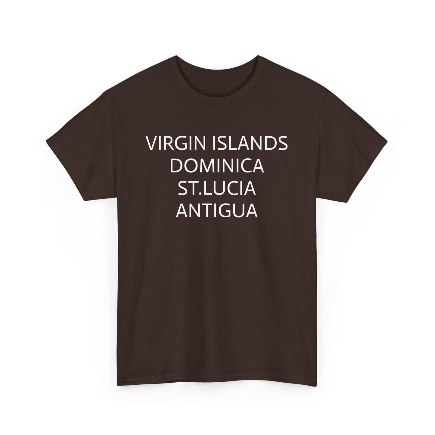 CARIBBEAN DIASPORA TRAVEL EDITION Heavy Cotton Tee