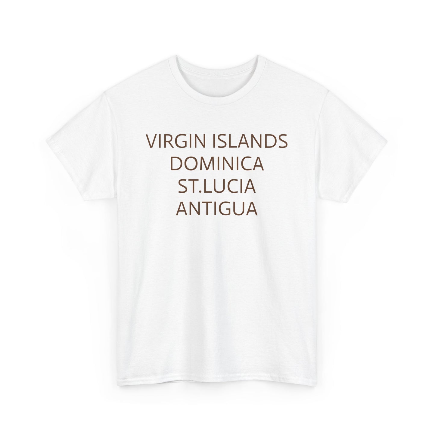 CARIBBEAN DIASPORA TRAVEL EDITION Heavy Cotton Tee