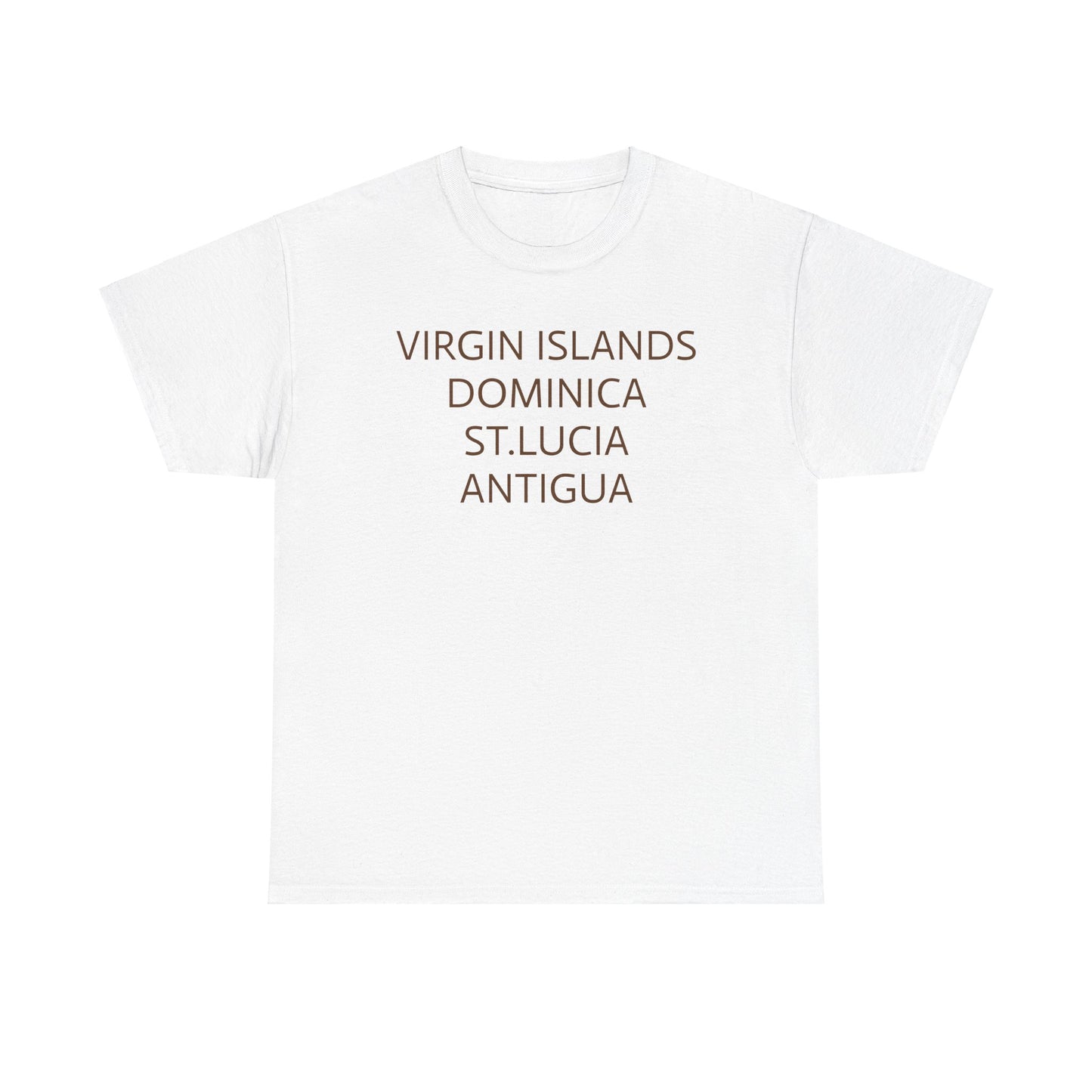 CARIBBEAN DIASPORA TRAVEL EDITION Heavy Cotton Tee