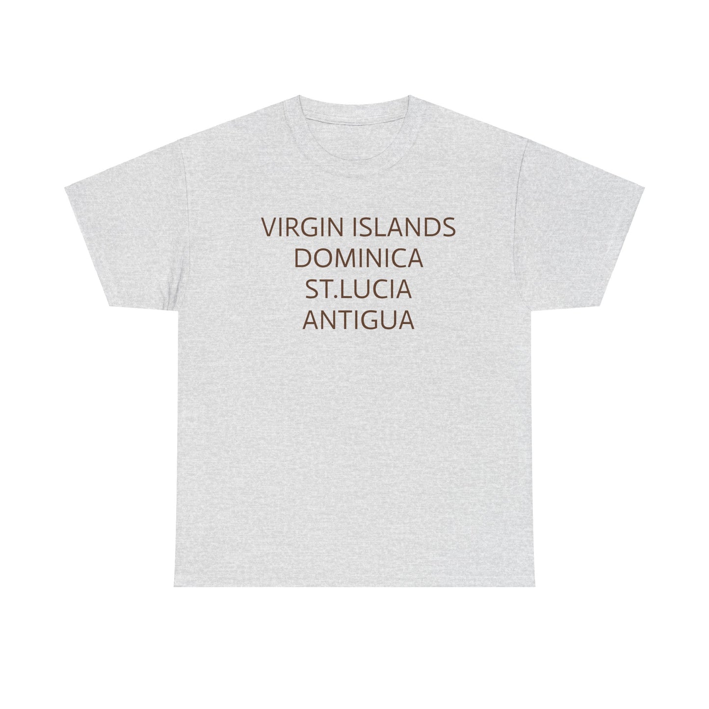 CARIBBEAN DIASPORA TRAVEL EDITION Heavy Cotton Tee
