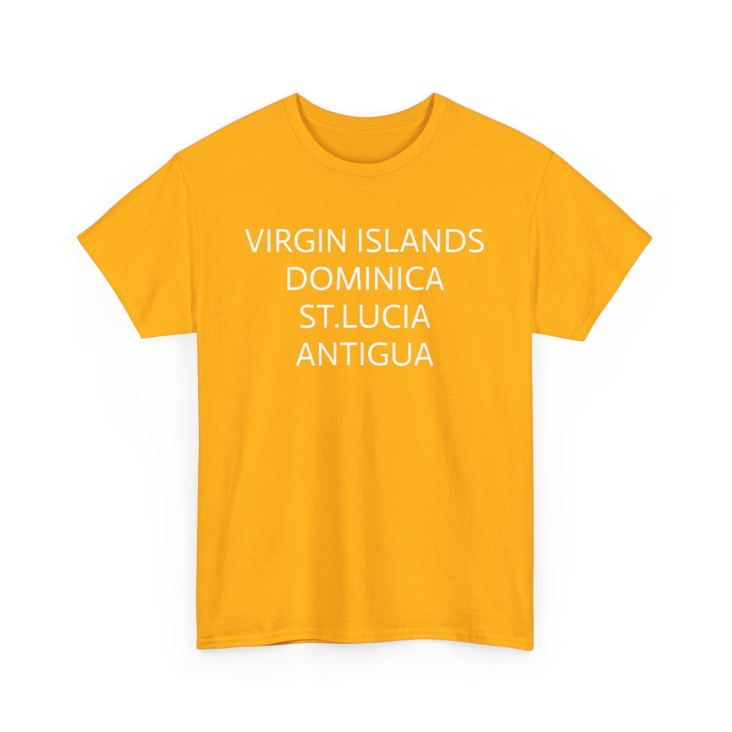 CARIBBEAN DIASPORA TRAVEL EDITION Heavy Cotton Tee
