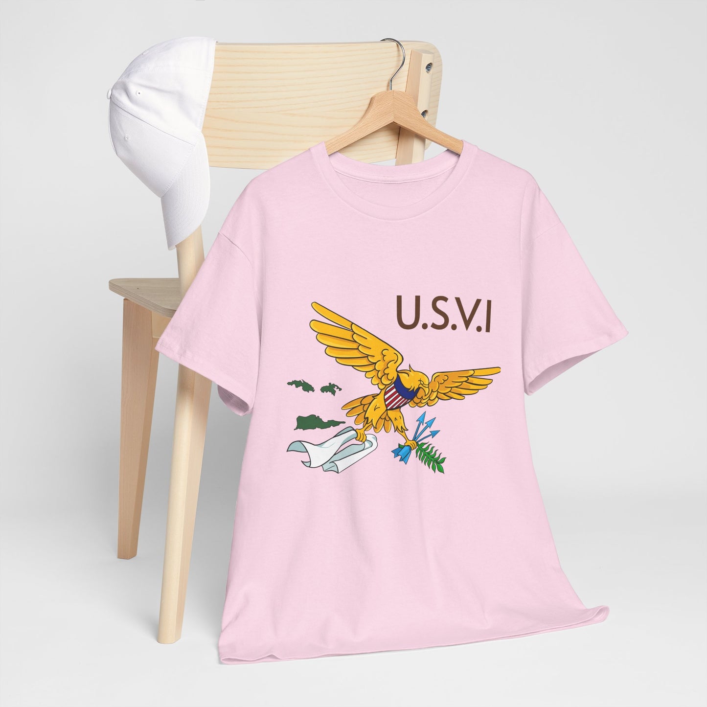 USVI CARIBBEAN DIASPORA TRAVEL EDITION Heavy Cotton Tee