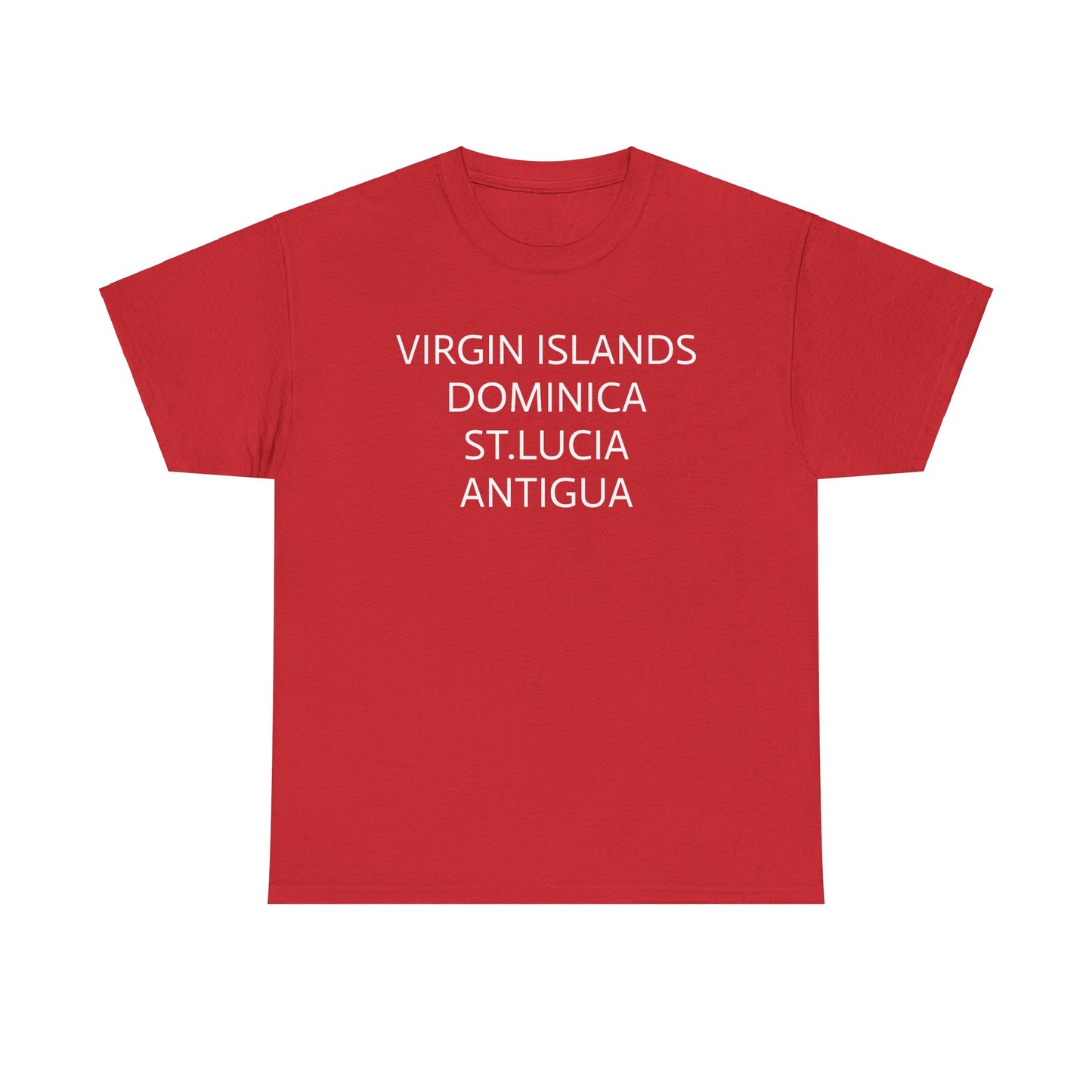 CARIBBEAN DIASPORA TRAVEL EDITION Heavy Cotton Tee