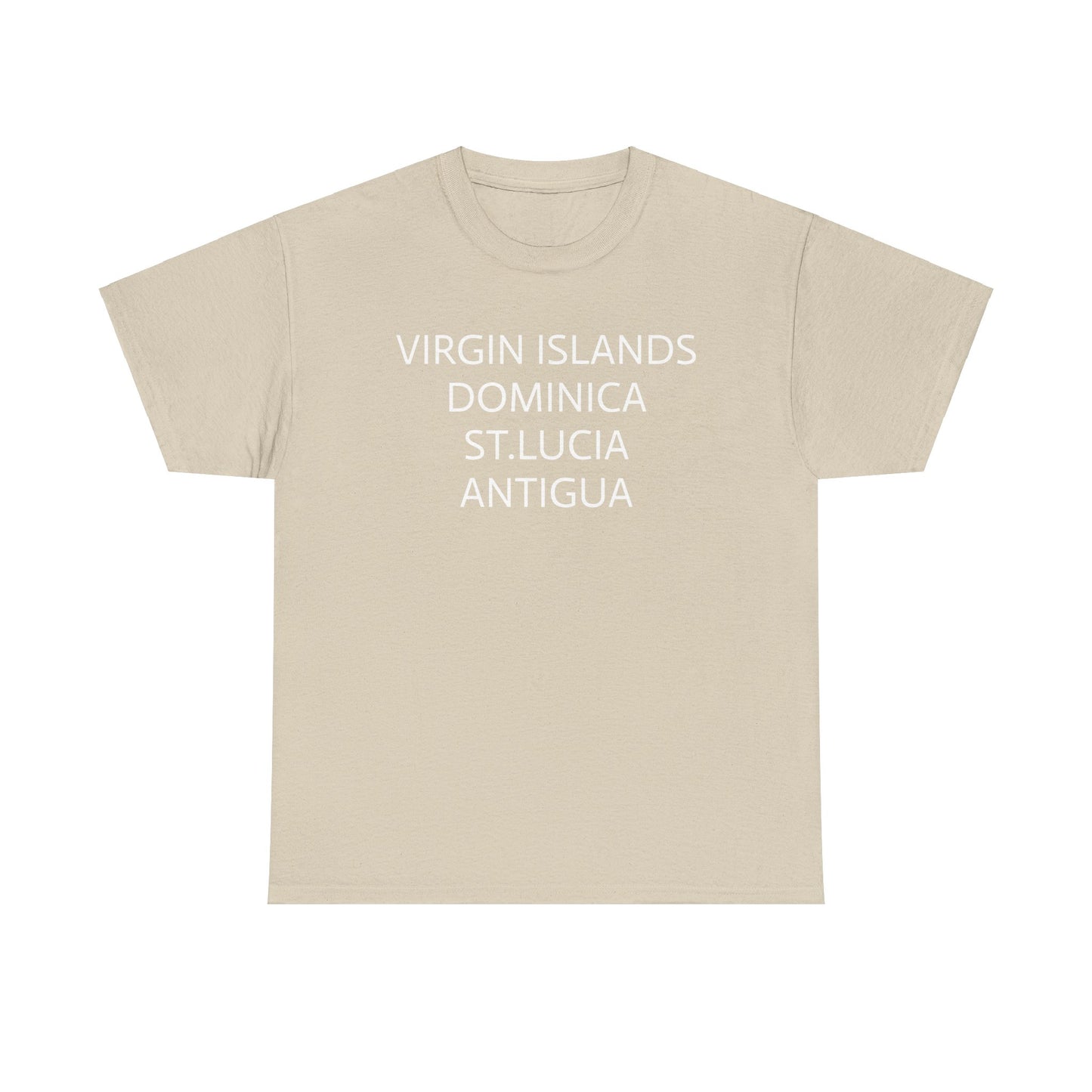 CARIBBEAN DIASPORA TRAVEL EDITION Heavy Cotton Tee